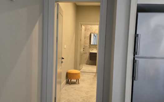 Cozy and Central 1+1 Furnished Apartment in Hisarönü!